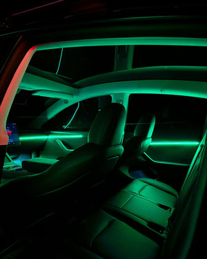 Complete INTERIOR AMBIENT LIGHTING KIT for Tesla's