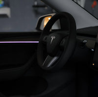 Complete INTERIOR AMBIENT LIGHTING KIT for Tesla's