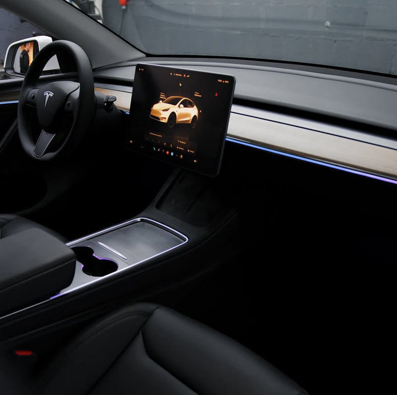 Complete INTERIOR AMBIENT LIGHTING KIT for Tesla's