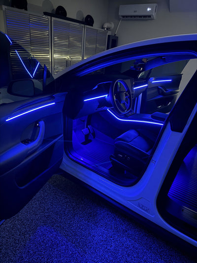 Sunny customer photo: Interior Ambient Lighting Kit for Tesla