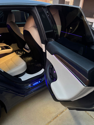 Carlos customer photo: Interior Ambient Lighting Kit for Tesla