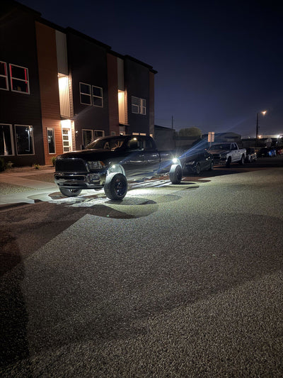 Anonymous customer photo: Pure White Rock Lights