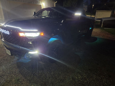 Andrew L. customer photo: Pure White Rock Lights