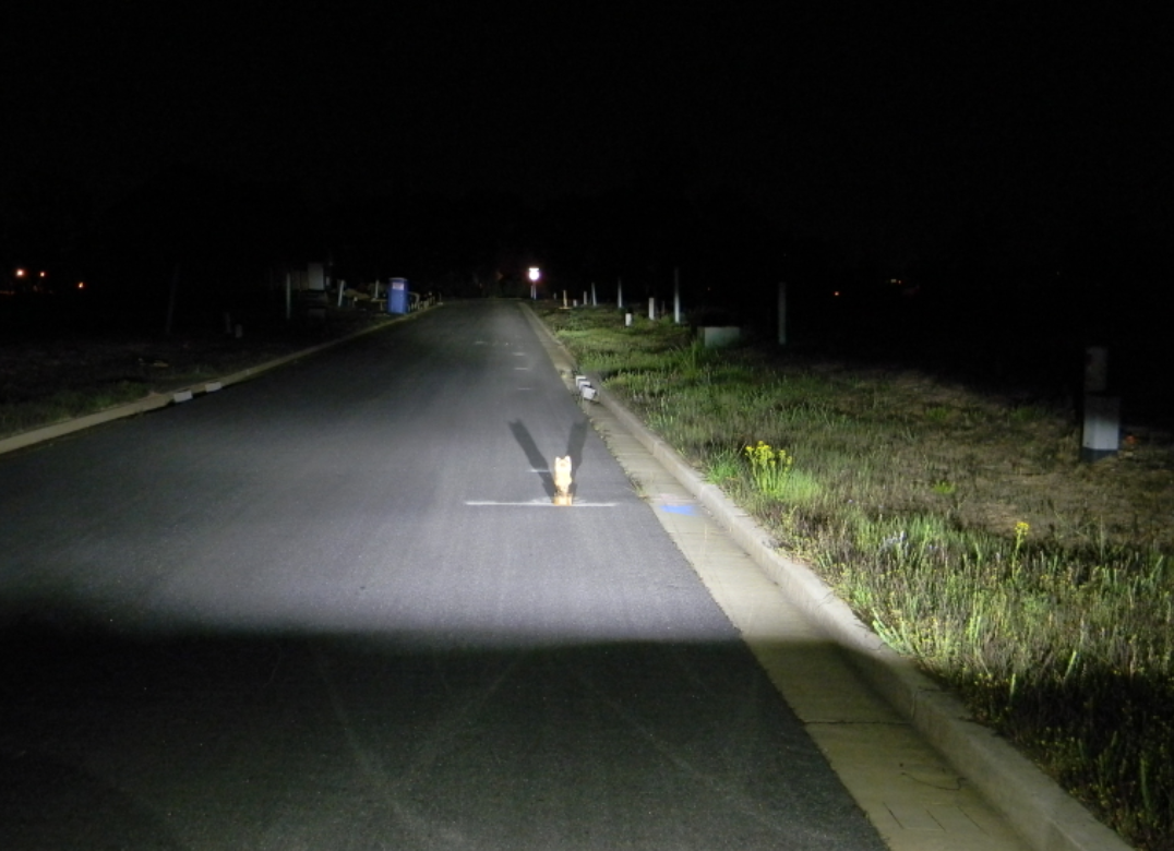 LED Projector Headlight by FCKLightBars (Vision at Night)