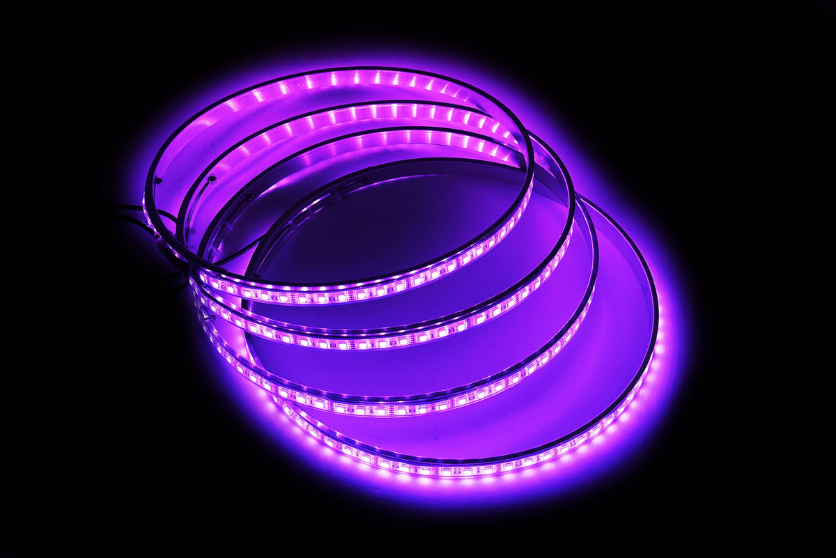 high intensity wheel lights purple